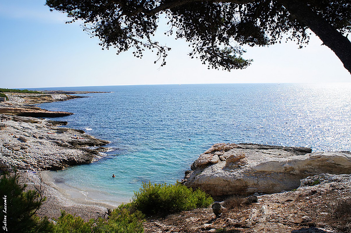 LOCATION COTE BLEUE